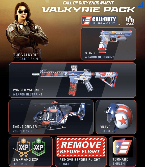 [ VALKYRIE BUNDLE PACK ] BattleNet Activision Key (Global)