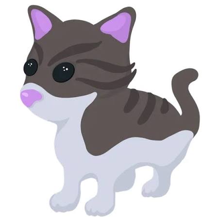 PERSIAN CAT MFR 🐈 INSTANT DELIVERY 🚚