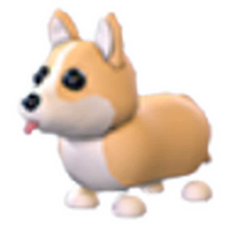 CORGI MFR 🐕 INSTANT DELIVERY 🚚