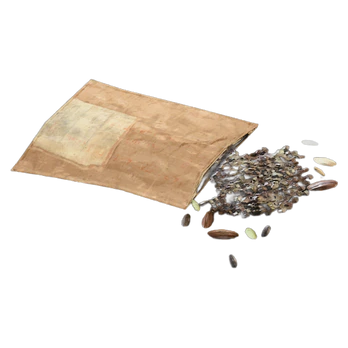 100x Assorted Seeds