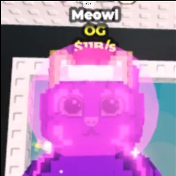 Meowl - 11 B/s