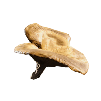 10x Mushroom