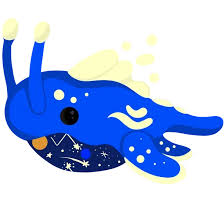 Space Whale MFR🐋 fast delivery