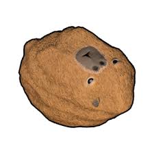 Capybara Rock