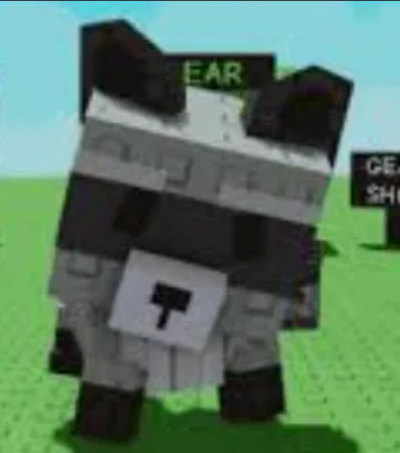 Raccoon