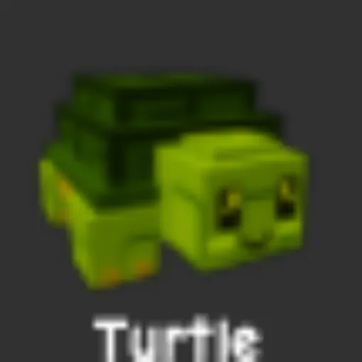 Rainbow Turtle