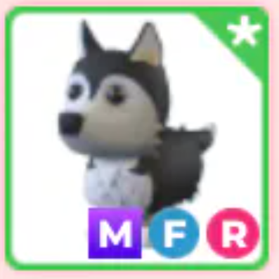 MFR Husky [Full Grown]