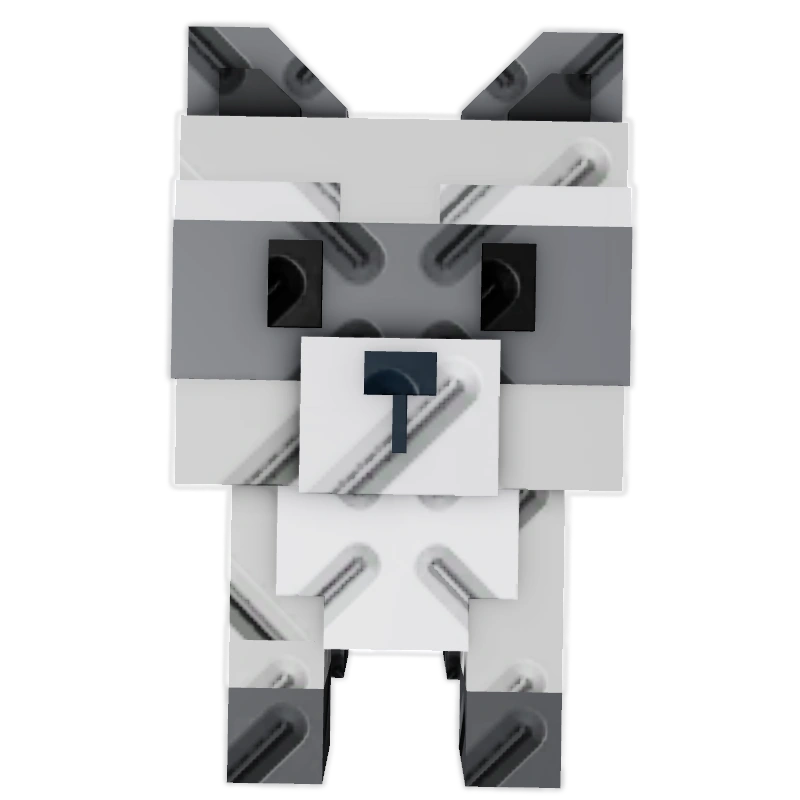 RACCOON | INSTANT DELIVERY
