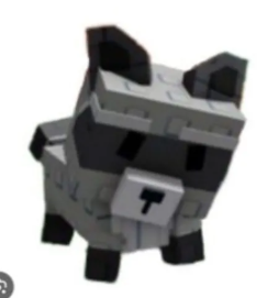 3x Raccoon