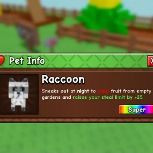 RACCON ✨