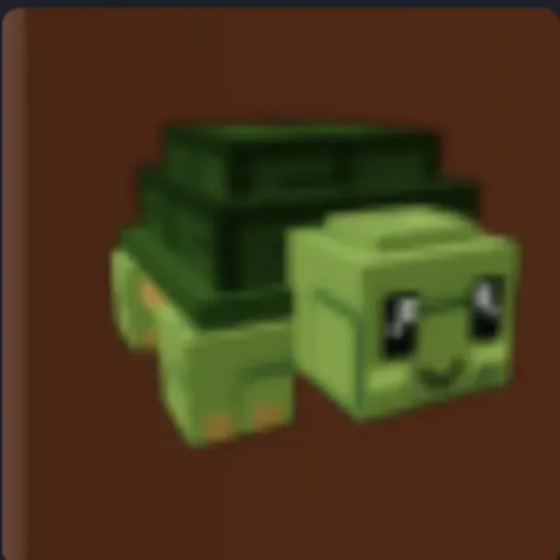 ⭐Turtle ⭐