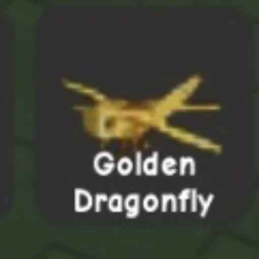 Golden Dragonfly
