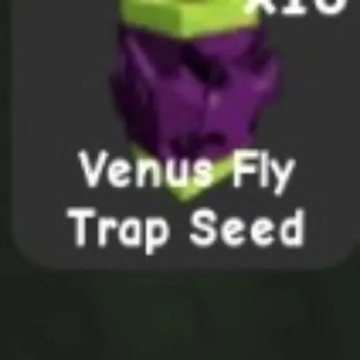 Venus Fly Trap Seed