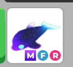 NFR Glormy Dolphin [Full Grown] 💖