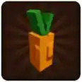 1x🥕Carrot Seed 🥕 100% HAND FARM