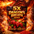 5x🐲Dragon's Breath Seed 🐲 [100% HAND FARM ]