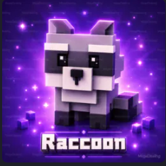 Raccoon