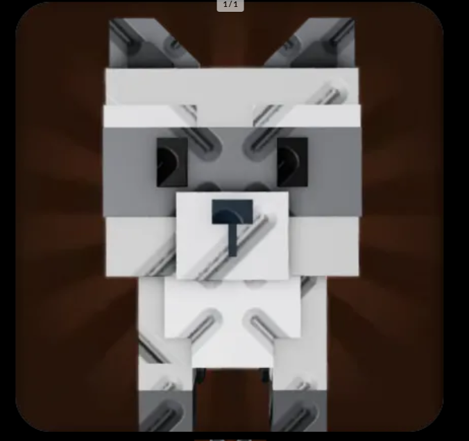 Raccoon