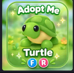 Turtle | FR