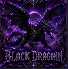 ✨️Big Black Dragon✨️