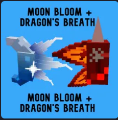 Moon Bloom + Dragon's Breath Seed BUNDLE!