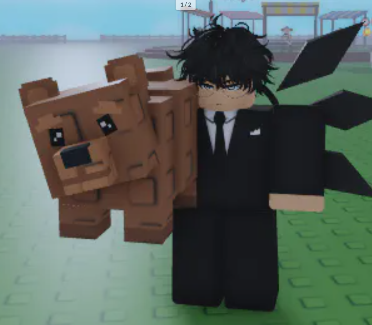 Bear (New OP Pet)