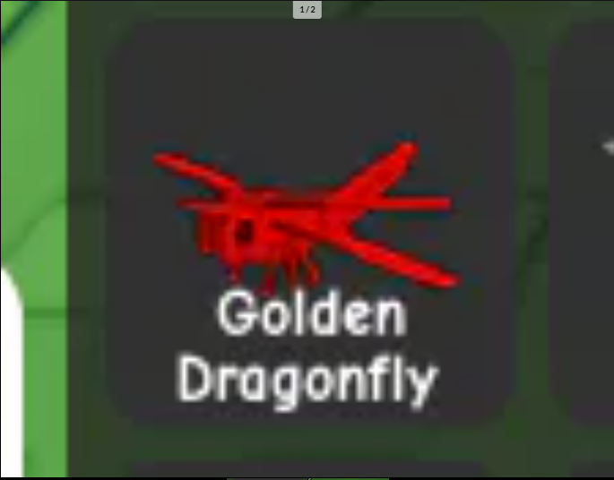⚡Rainbow Golden Dragonfly⚡