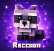 Raccoon