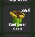 Sunflower Seed