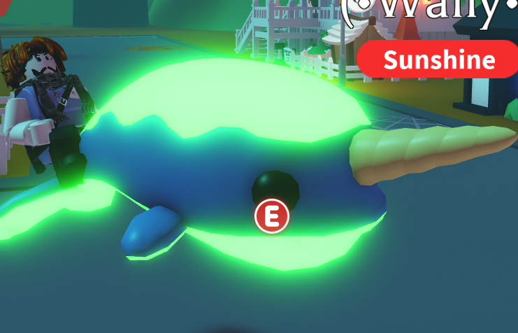 Narwhal NR