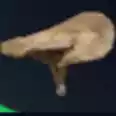 Mushroom*6⚡instant delivery