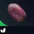 Cactus Fruit x5⚡instant delivery