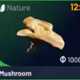 10x Mushroom and fast delivery