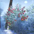 10*candleberries and fast delivery