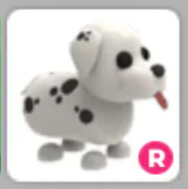 R Dalmatian [Full Grown]
