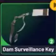 1* Dam Surveillance Key and fast delivery