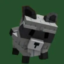 Raccoon ✅