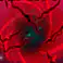 ✅✅Monarch Moon✅✅349R