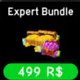 ⭐Expert Bundle 【499R】⭐