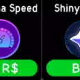 Anime Fighting Simulator: Endless - X4 Gacha Speed + shiny hunter [1398r]
