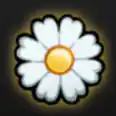 ✅✅250k Flowers✅✅
