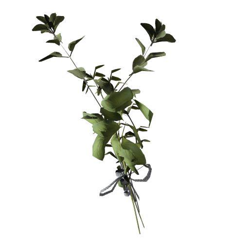 Great Mullein