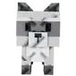 Raccoon