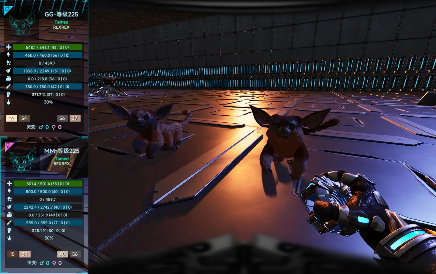 Ferox, lvl225, Attached pictures-pve