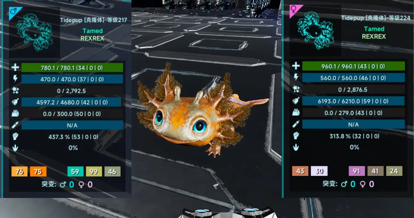 Tidepup, lvl217/ lvl224, Attached pictures-pve