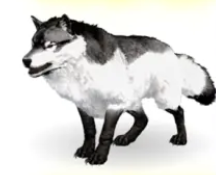 Direwolf, Top stats, Attached pictures-pve