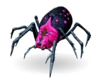 Araneo, Top stats, Attached pictures-pve