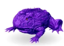 Beelzebufo, Top stats, Attached pictures-pve