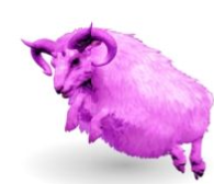 Ovis, Top stats, Attached pictures-pve