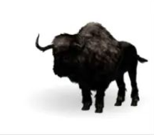 Bison, Top stats, Attached pictures-pve